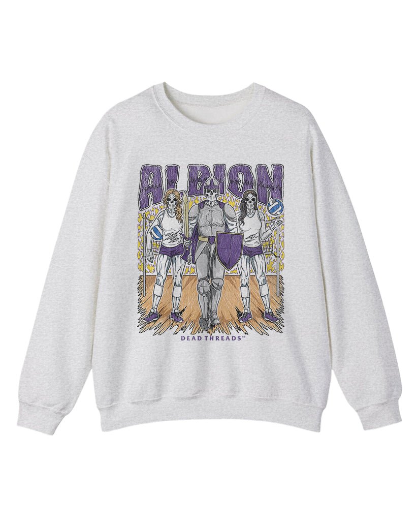 ALBION CREWNECK SWEATSHIRT product image 4