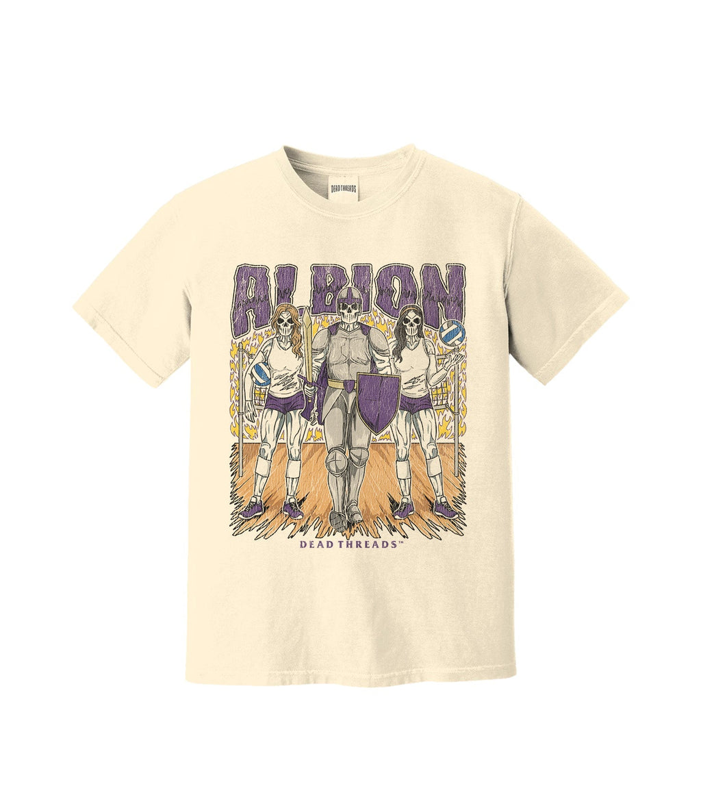 ALBION product image 4