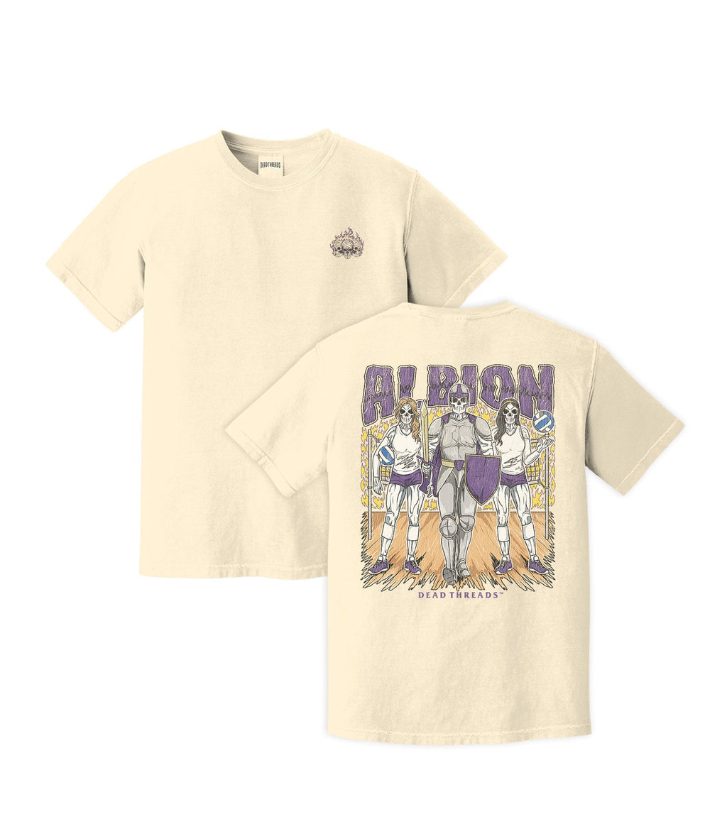 ALBION product image 4