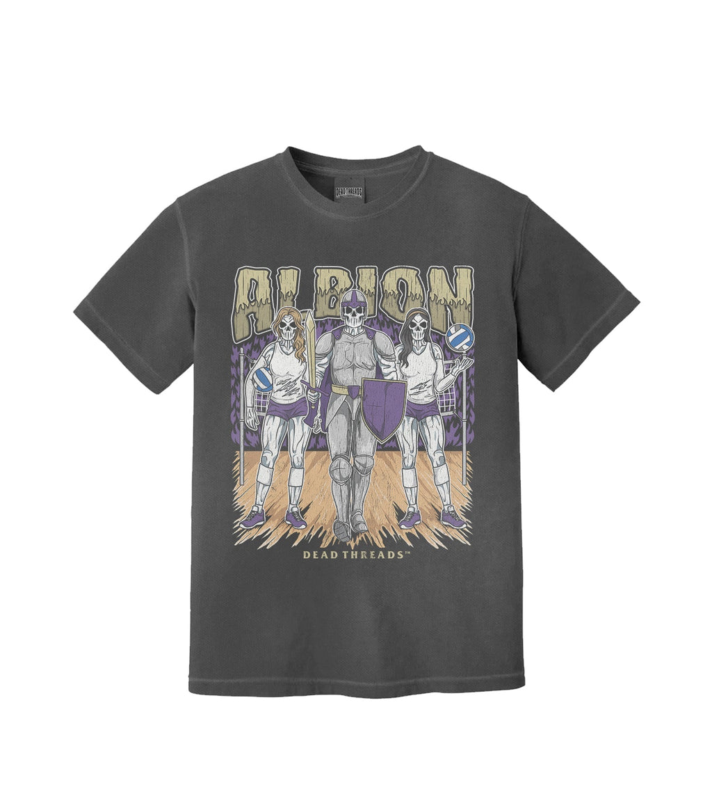 ALBION product image 1