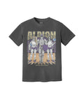 ALBION product image 1