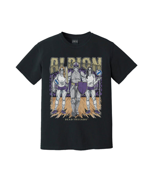 ALBION product image 2