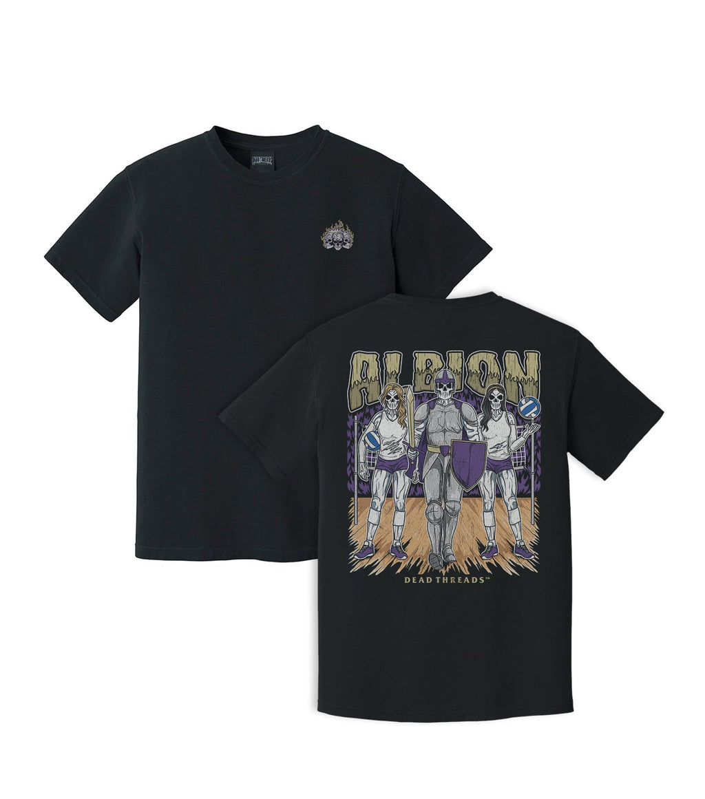 ALBION product image 2
