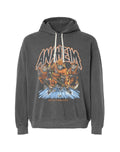 ANAHEIM HOCKEY - LIGHTWEIGHT HOODIE product image 1